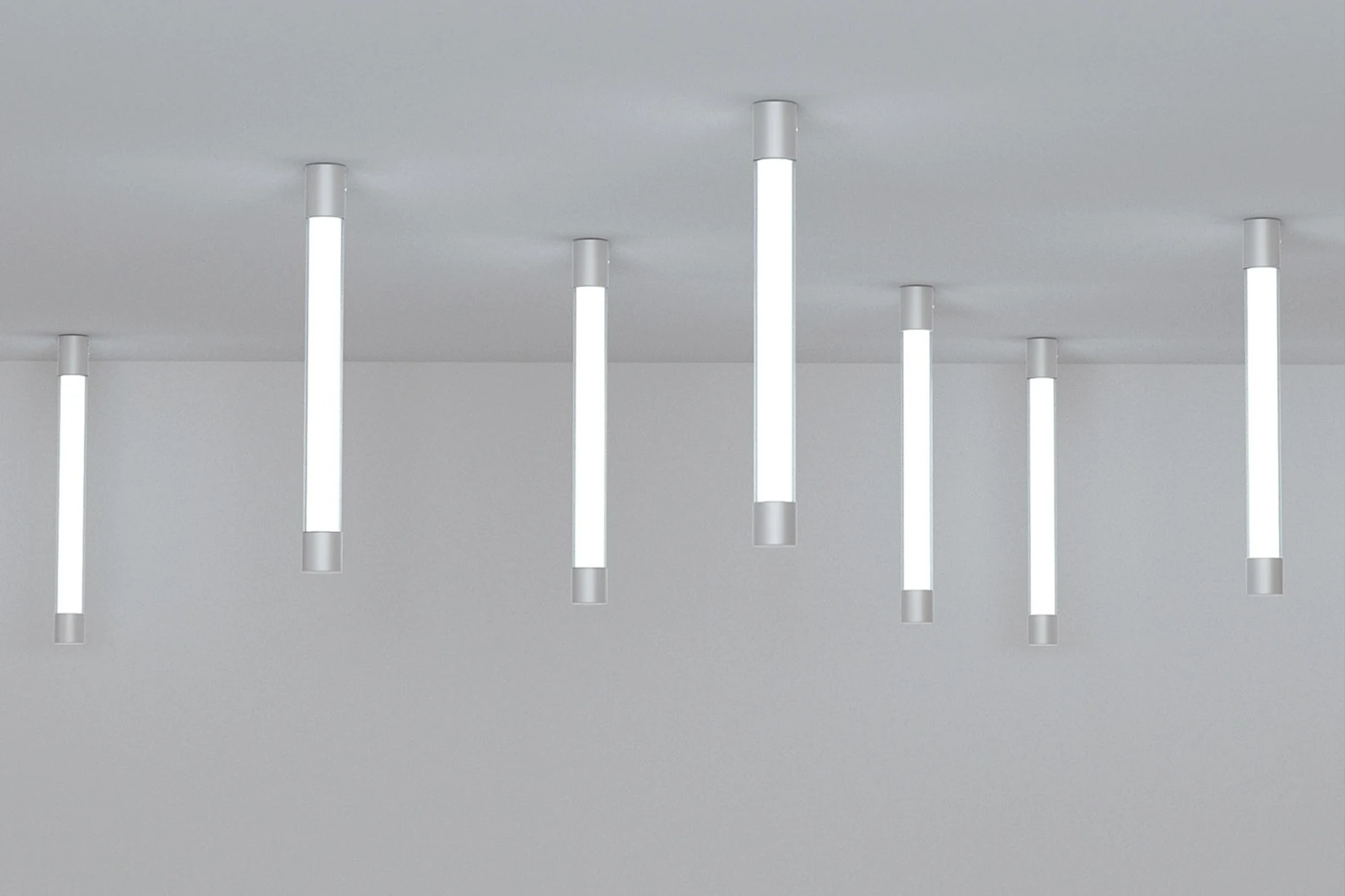 Noma — product photo