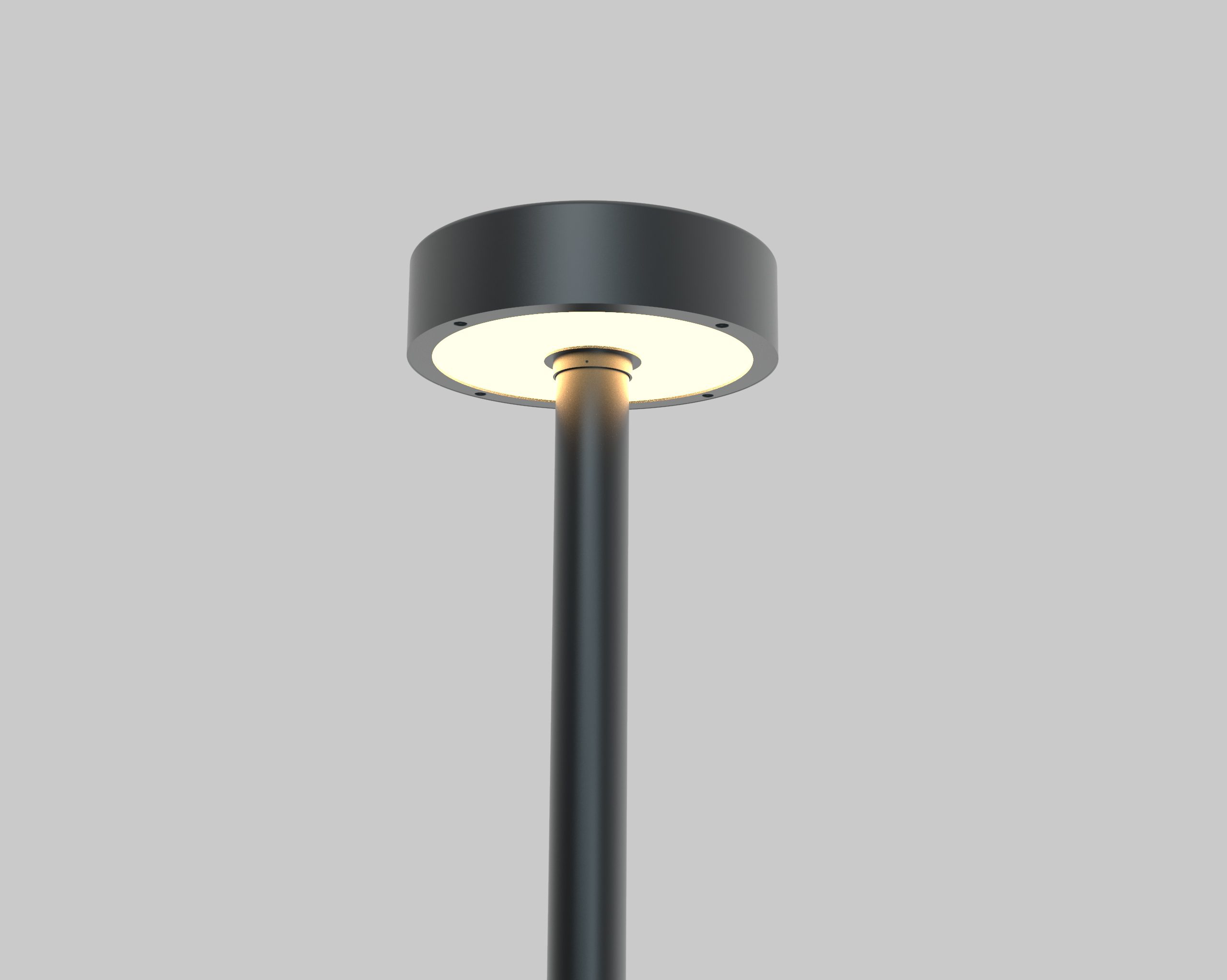 Orla — product photo